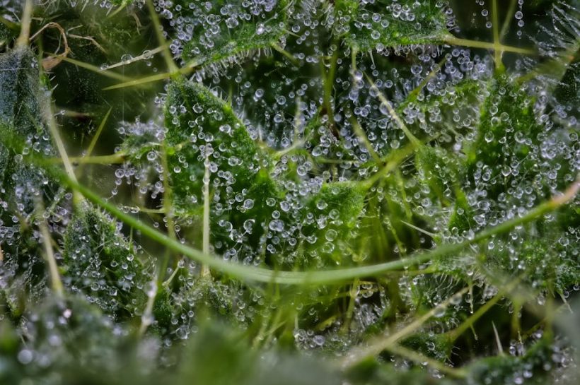 舒緩保濕霜：讓你的肌膚喝飽水的秘密武器