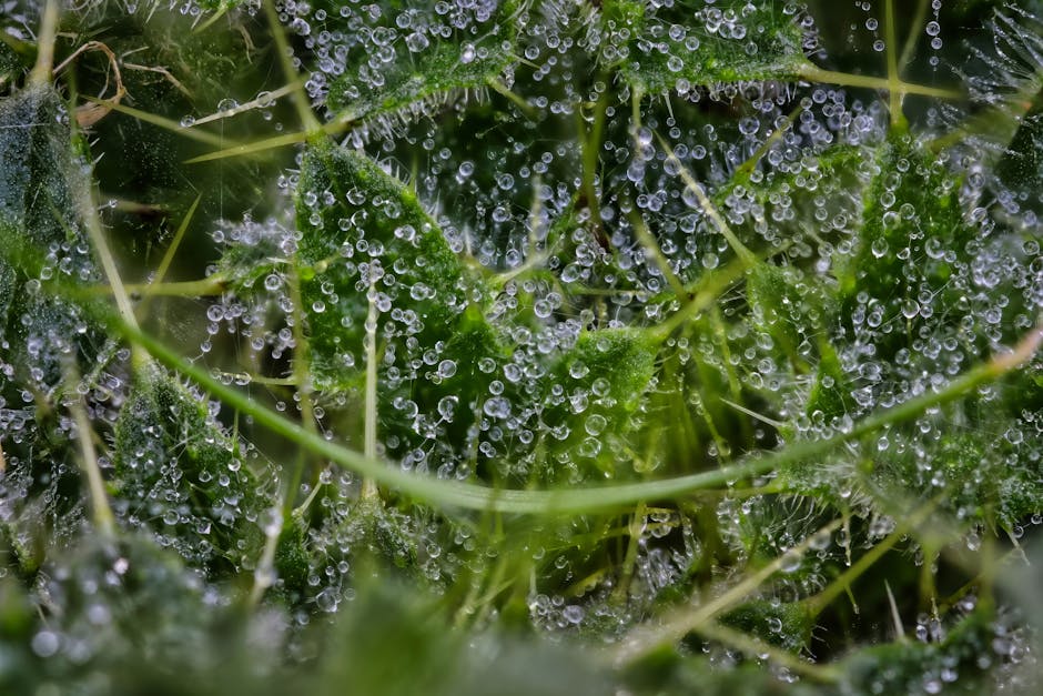 舒緩保濕霜：讓你的肌膚喝飽水的秘密武器